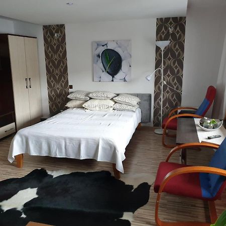 Sloneczne Apartamenty Krościenko Extérieur photo